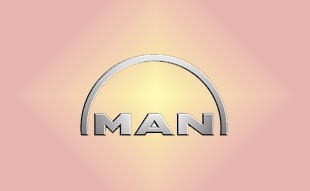 ✓ MAN 06.31410.1900 Запчасти МАН (MAN) 